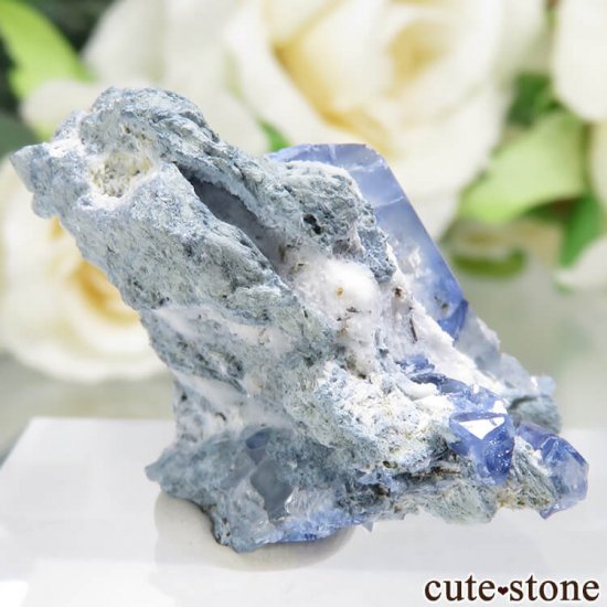 ե˥ California State Gem Mine ٥˥ȥȤθ No.105μ̿1 cute stone