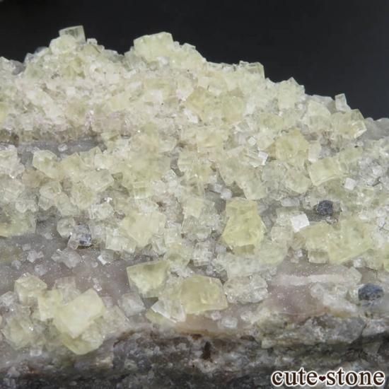 ե St Pierre vein ե饤ȡ륻ɥˡʤθ No.6μ̿1 cute stone