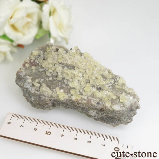 ե St Pierre vein ե饤ȡ륻ɥˡʤθ No.6μ̿3 cute stone