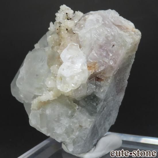 ե Urbeis 饤ȥ֥롼ե饤ȡĤθ No.1μ̿1 cute stone