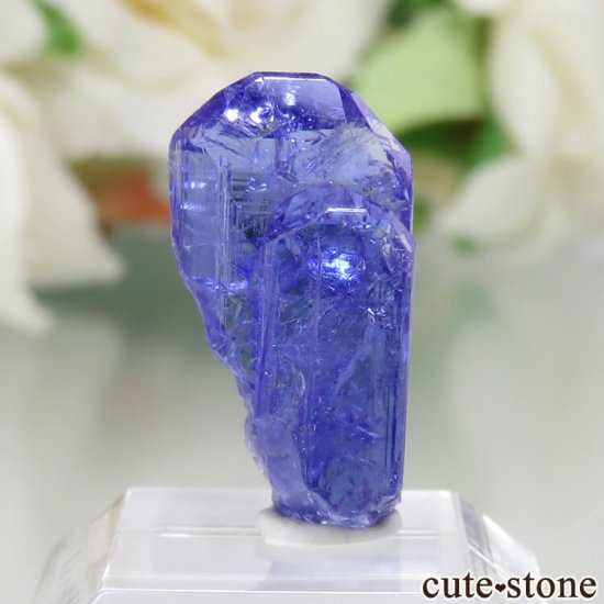 󥶥˥ ˻ 󥶥ʥȤθСʲǮ No.74μ̿1 cute stone