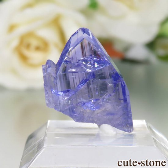 󥶥˥ ˻ 󥶥ʥȤθСʲǮ No.75μ̿1 cute stone