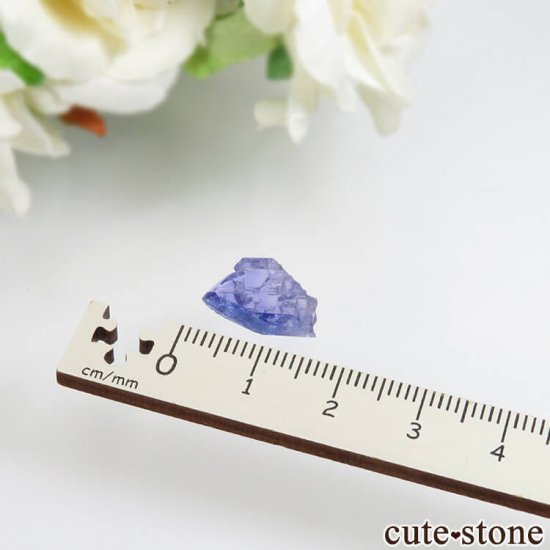󥶥˥ ˻ 󥶥ʥȤθСʲǮ No.75μ̿3 cute stone