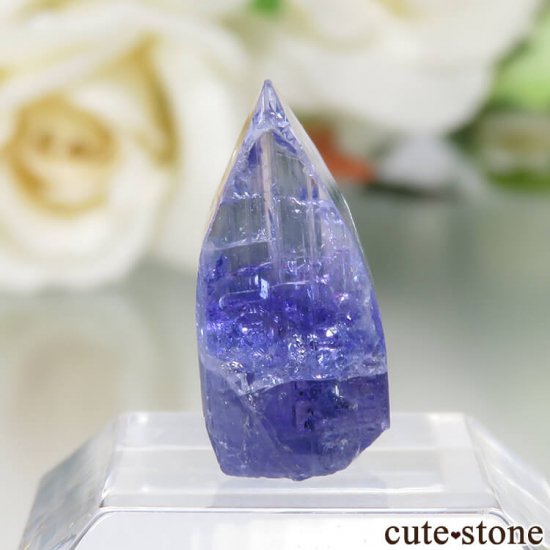 󥶥˥ ˻ 󥶥ʥȤθСʲǮ No.76μ̿0 cute stone