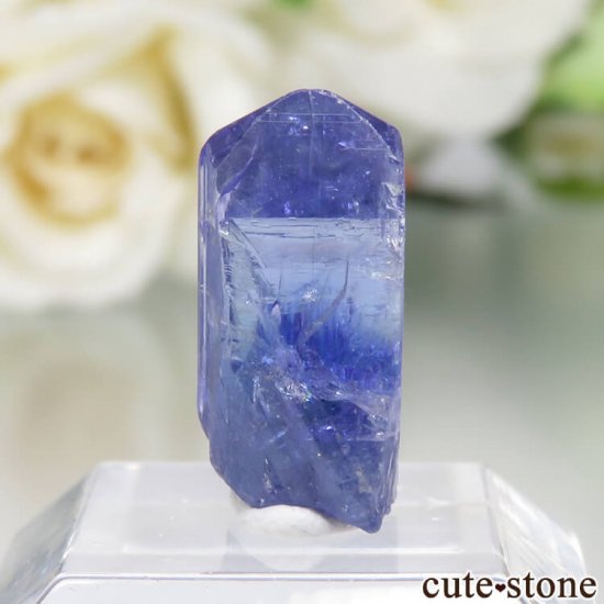 󥶥˥ ˻ 󥶥ʥȤθСʲǮ No.76μ̿1 cute stone