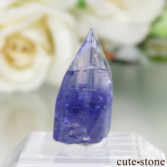 󥶥˥ ˻ 󥶥ʥȤθСʲǮ No.76μ̿2 cute stone