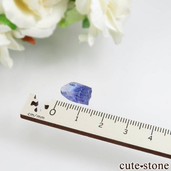 󥶥˥ ˻ 󥶥ʥȤθСʲǮ No.76μ̿3 cute stone
