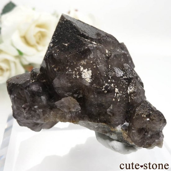 ͥ륹 Nikolaevskiy Mine 󥴡 - ꥪ(徽)θ  No.1μ̿0 cute stone