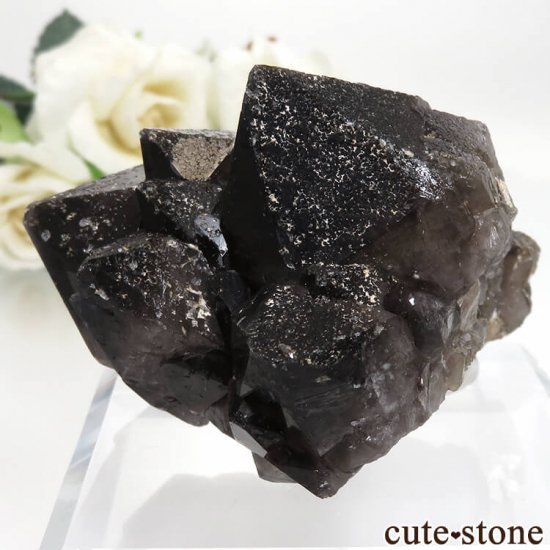  ͥ륹 Nikolaevskiy Mine 󥴡 - ꥪ(徽)θ  No.1μ̿1 cute stone