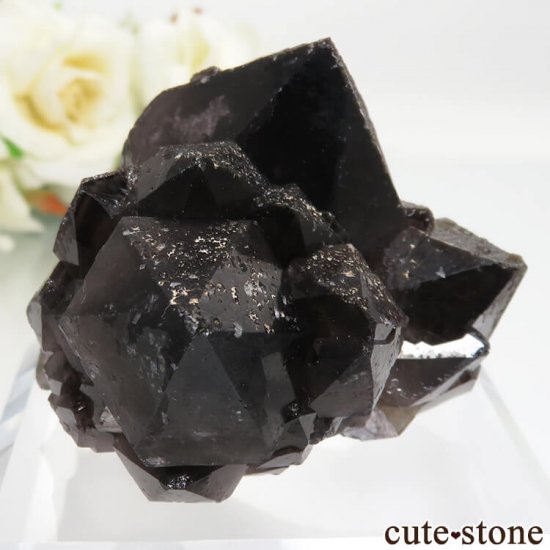  ͥ륹 Nikolaevskiy Mine 󥴡 - ꥪ(徽)θ  No.1μ̿2 cute stone