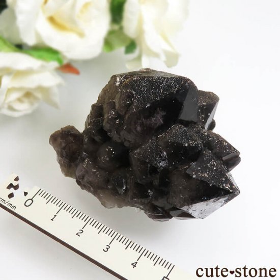  ͥ륹 Nikolaevskiy Mine 󥴡 - ꥪ(徽)θ  No.1μ̿4 cute stone