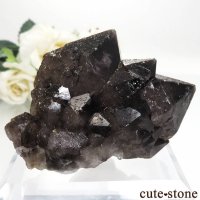 ロシア ダルネゴルスク Nikolaevskiy Mine産 カンゴーム - モリオン(黒水晶)の原石  No.1の画像