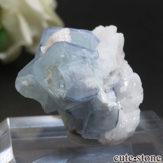 䥪󥷥 ֥롼ߥ꡼ե饤ȡեɥѡ No.39μ̿2 cute stone