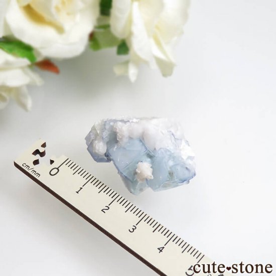 䥪󥷥 ֥롼ߥ꡼ե饤ȡեɥѡ No.39μ̿3 cute stone