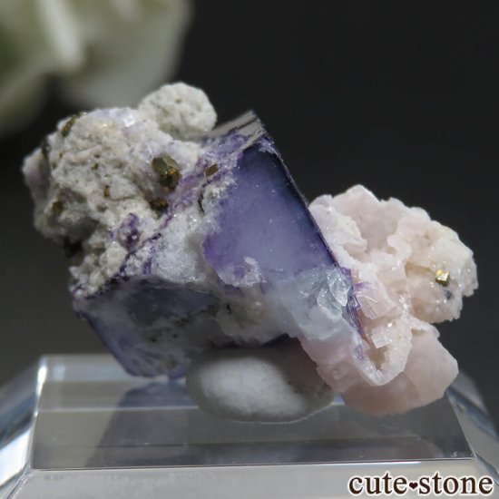 䥪󥷥 ѡץե饤ȡեɥѡ No.40μ̿0 cute stone