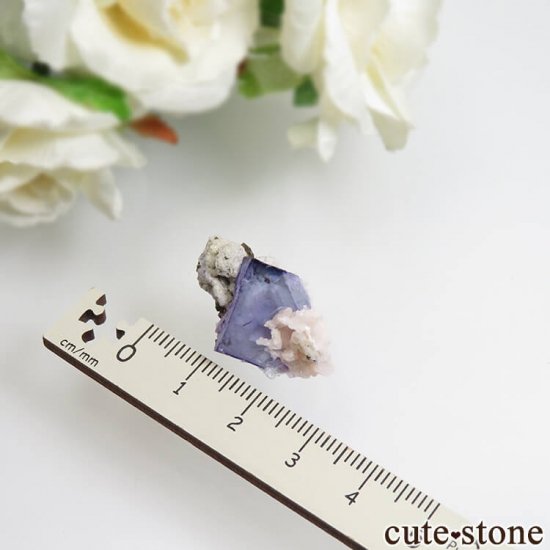 䥪󥷥 ѡץե饤ȡեɥѡ No.40μ̿3 cute stone