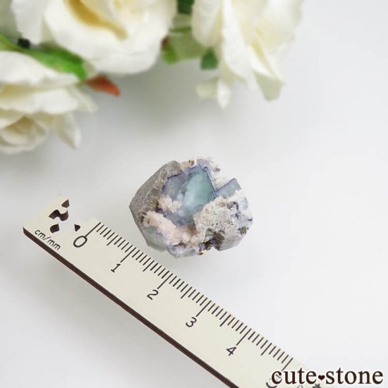 䥪󥷥 ֥롼ߥ꡼ե饤 No.41μ̿3 cute stone