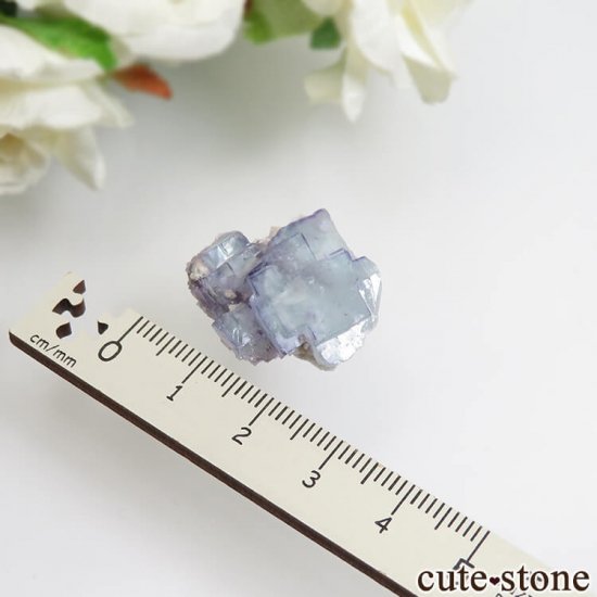 䥪󥷥 ֥롼ߥ꡼ե饤 No.42μ̿3 cute stone