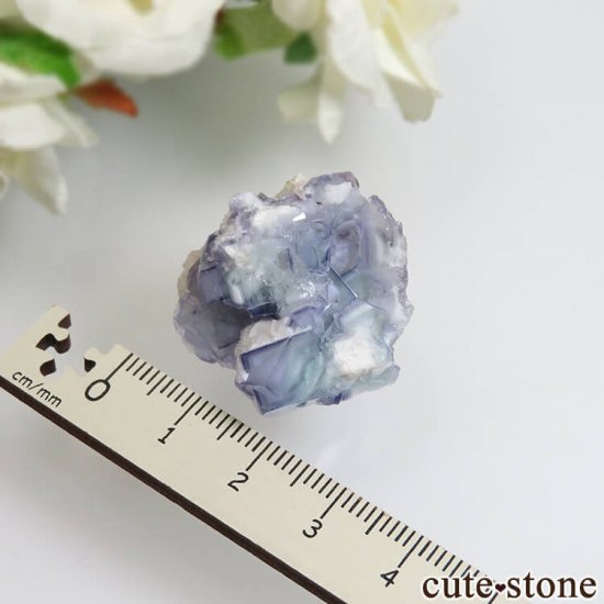 䥪󥷥 ֥롼ߥ꡼ե饤 No.43μ̿3 cute stone