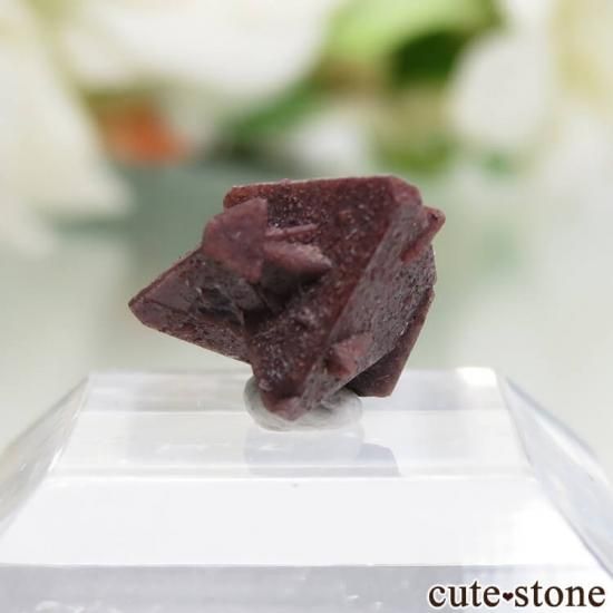  Qalat Payeen ˥ȡʥСˤθ No.10μ̿1 cute stone