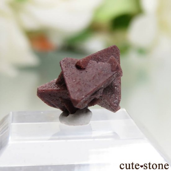 Qalat Payeen ˥ȡʥСˤθ No.10μ̿2 cute stone