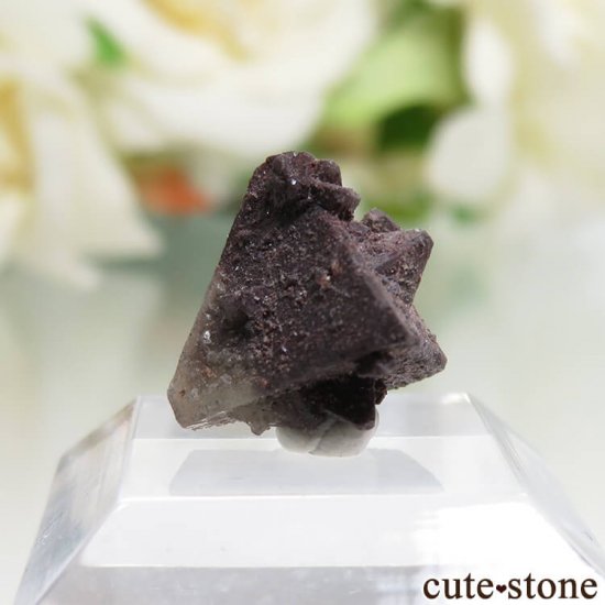  Qalat Payeen ˥ȡʥСˤθ No.16μ̿0 cute stone