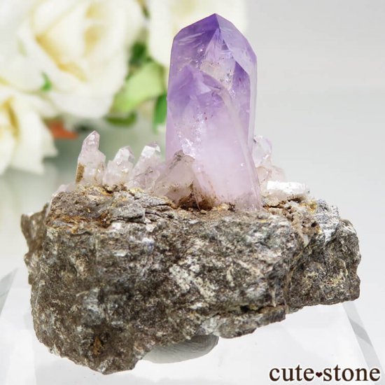 ᥭ ٥饯륹 ᥸Ȥθ No.13μ̿2 cute stone