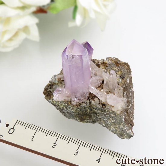 ᥭ ٥饯륹 ᥸Ȥθ No.13μ̿3 cute stone
