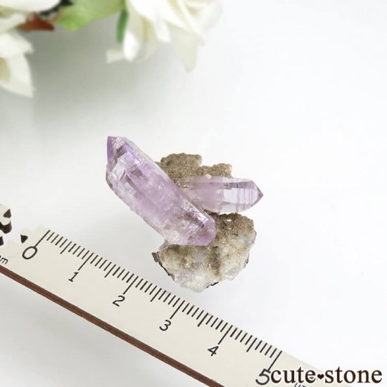 ᥭ ٥饯륹 ᥸Ȥθ No.16μ̿3 cute stone