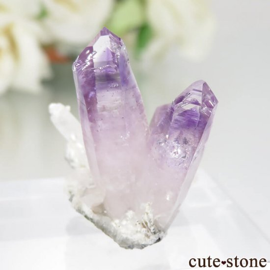 ᥭ ٥饯륹 ᥸Ȥθ No.17μ̿0 cute stone