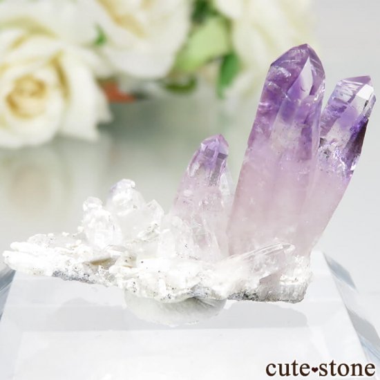 ᥭ ٥饯륹 ᥸Ȥθ No.17μ̿1 cute stone