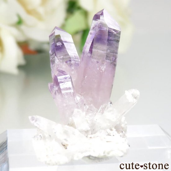 ᥭ ٥饯륹 ᥸Ȥθ No.17μ̿2 cute stone