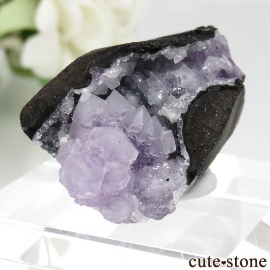  Khadakwani ᥸Ȥθ No.33μ̿0 cute stone