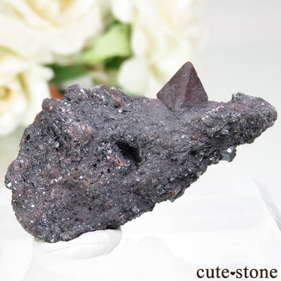  Qalat Payeen ˥ȡʥСˡإޥȤդ No.17μ̿1 cute stone