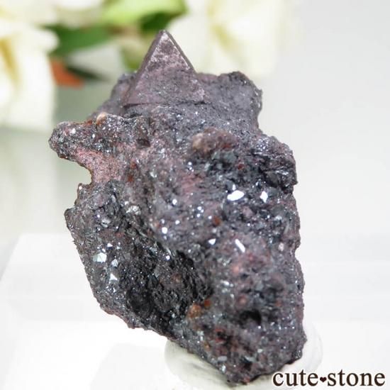  Qalat Payeen ˥ȡʥСˡإޥȤդ No.17μ̿2 cute stone