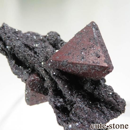  Qalat Payeen ˥ȡʥСˡإޥȤդ No.18μ̿3 cute stone