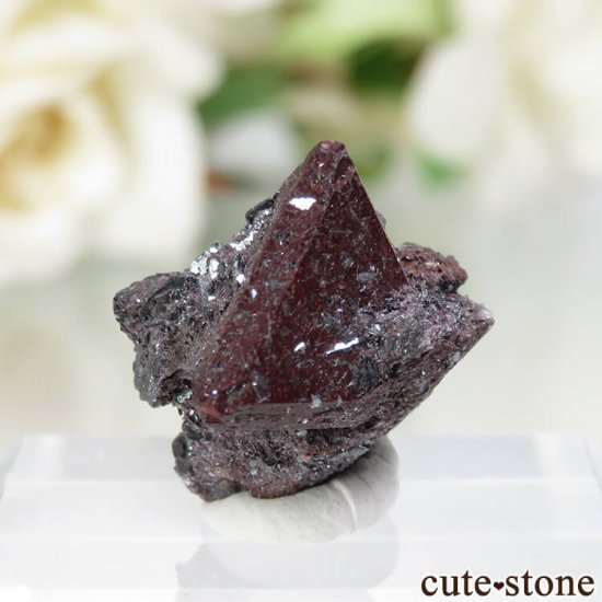  Qalat Payeen ˥ȡʥСˡإޥȤդ No.19μ̿2 cute stone