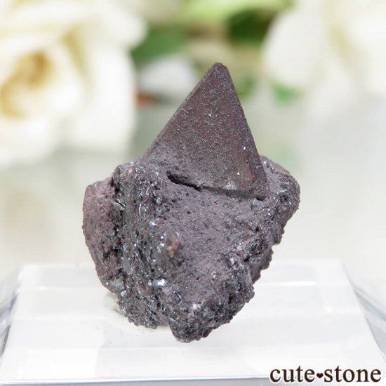  Qalat Payeen ˥ȡʥСˡإޥȤդ No.20μ̿0 cute stone