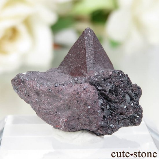  Qalat Payeen ˥ȡʥСˡإޥȤդ No.20μ̿1 cute stone