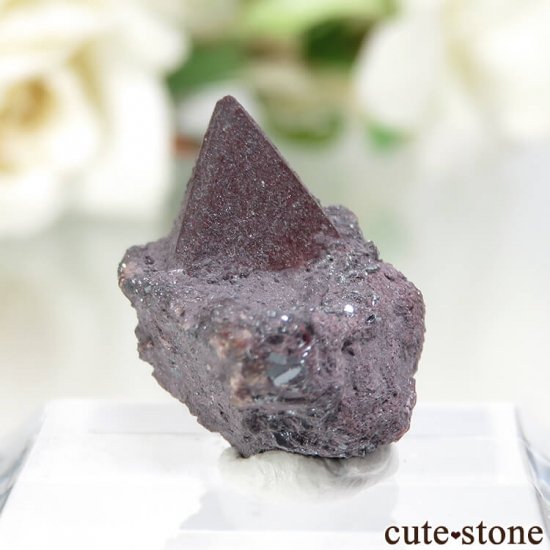  Qalat Payeen ˥ȡʥСˡإޥȤդ No.20μ̿2 cute stone