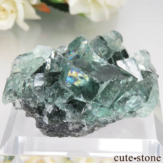  Xianghualing Mine ꡼ե饤Ȥθ No.48μ̿0 cute stone