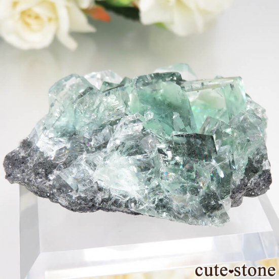  Xianghualing Mine ꡼ե饤Ȥθ No.48μ̿1 cute stone