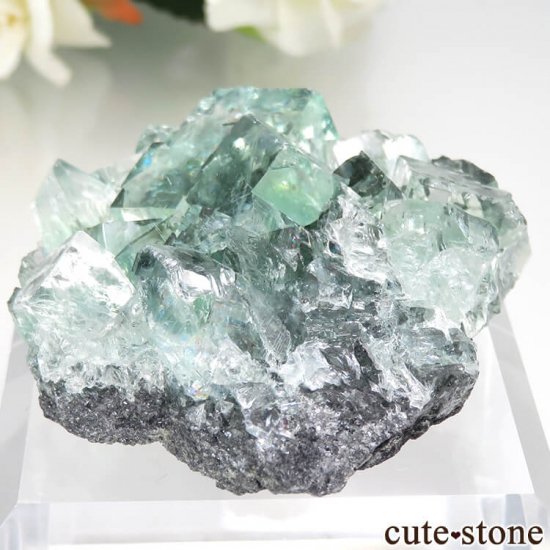  Xianghualing Mine ꡼ե饤Ȥθ No.48μ̿2 cute stone