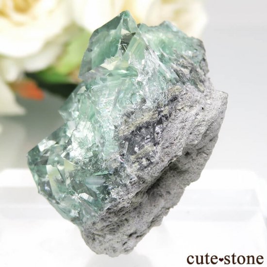  Xianghualing Mine ꡼ե饤Ȥθ No.50μ̿2 cute stone