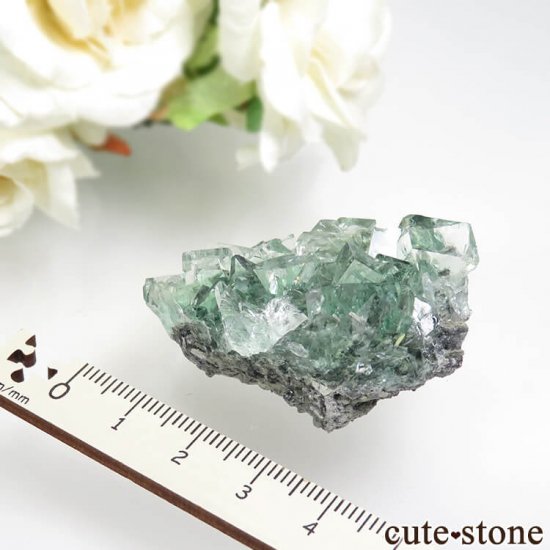  Xianghualing Mine ꡼ե饤Ȥθ No.50μ̿4 cute stone
