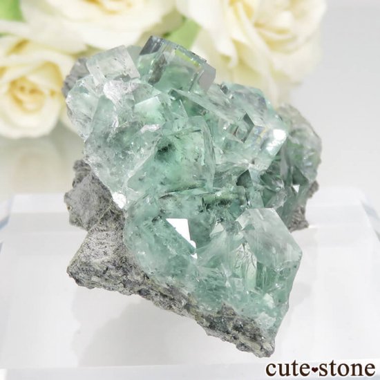  Xianghualing Mine ꡼ե饤Ȥθ No.51μ̿0 cute stone