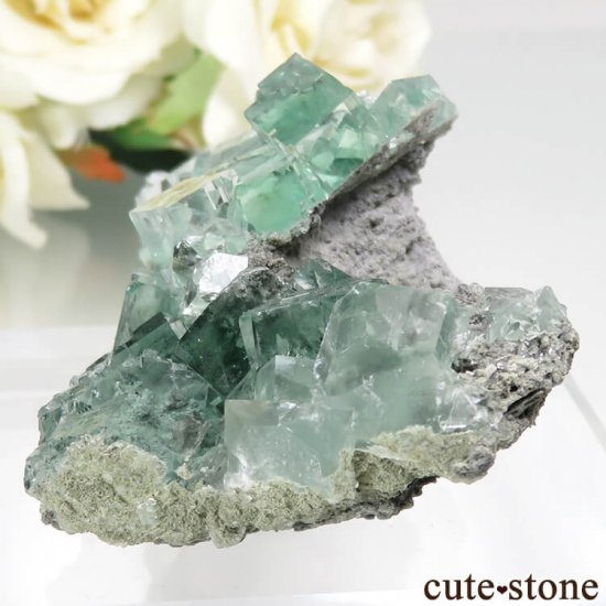  Xianghualing Mine ꡼ե饤Ȥθ No.51μ̿2 cute stone