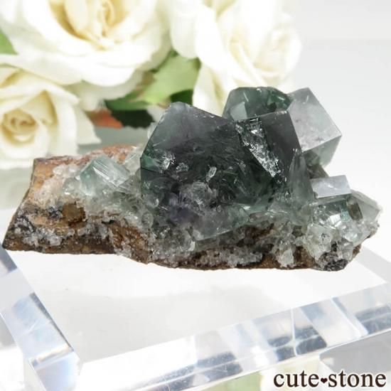 ǥʥ٥ Fairy Holes ե饤Ȥη뾽ʸСNo.14μ̿1 cute stone