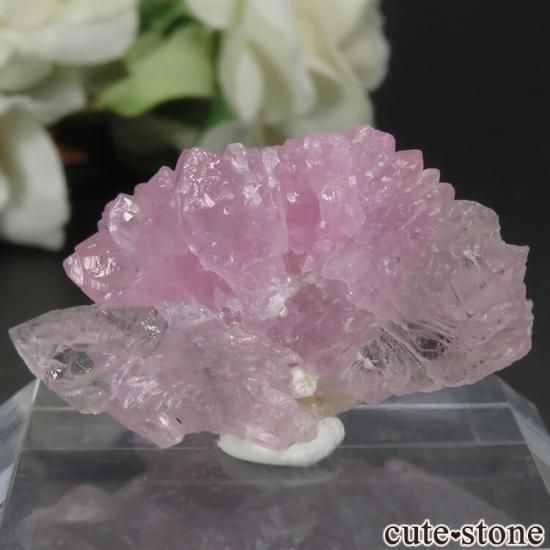 ֥饸 ߥʥ饤 Pitorra claim Ĥη뾽 No.6μ̿1 cute stone