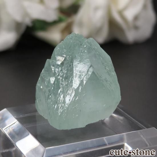  ץ͡ ꡼󥢥ݥե饤Ȥθ No.26μ̿1 cute stone